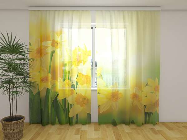 Chiffon curtain: YELLOW DAFFODILS