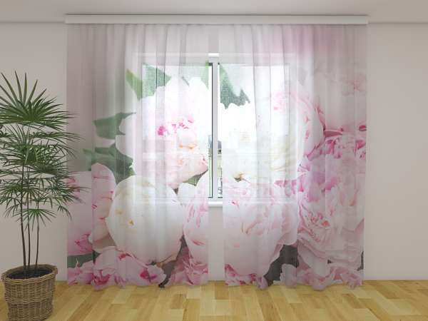 Chiffon curtain: FRESH PINK PEONIES