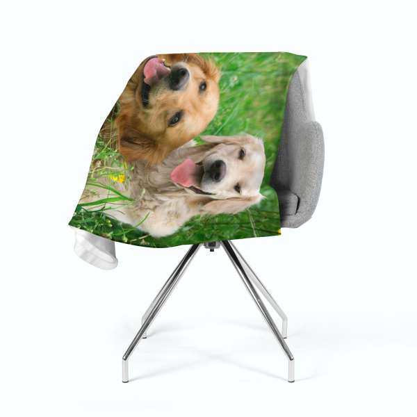 Fleece blanket: LABRADORS RETRIEVERS IN THE MEADOW