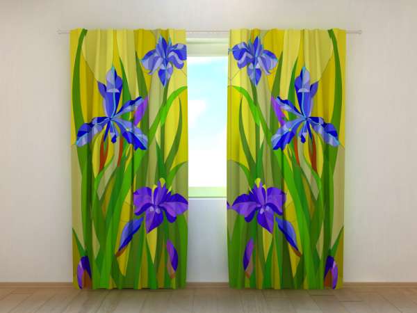 Photo curtain: IRISES
