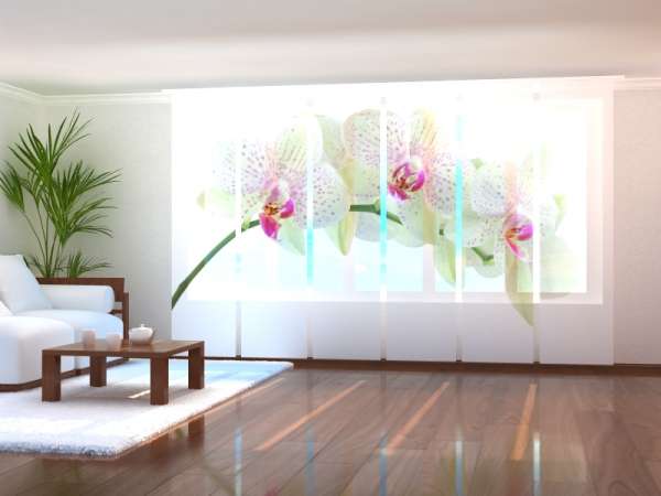 Sliding panel curtain (1-6 pts.): WHITE ORCHID IN SPRING