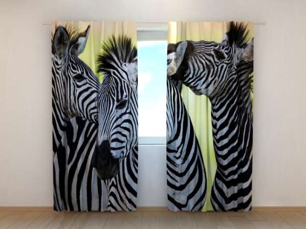 Photo curtain: ZEBRAS