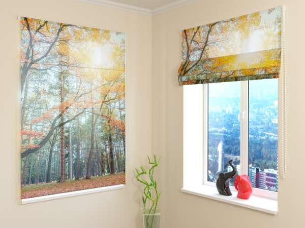 Roman blind: SUN IN THE FOREST