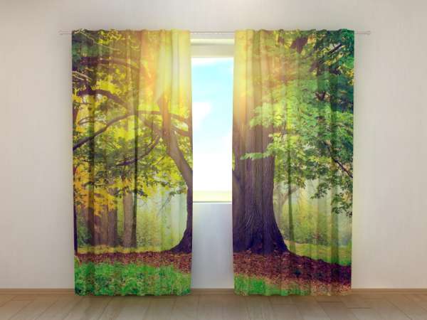 Photo curtain: BIG GREEN TREE