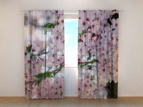 Photo curtain: TREE IN BLOSSOM