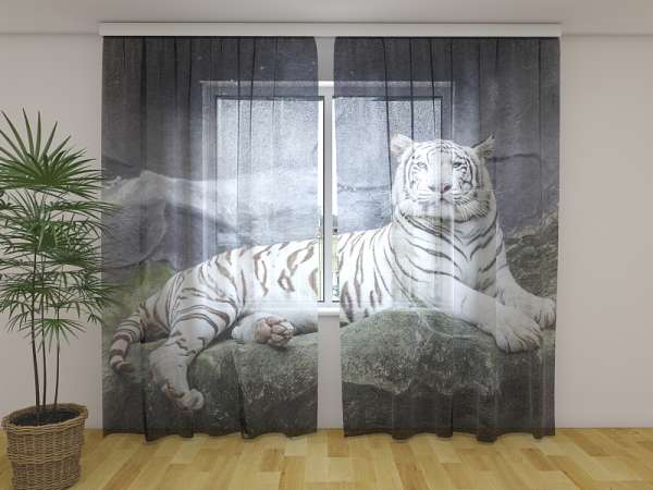 Chiffon curtain: WHITE TIGER ON A ROCK