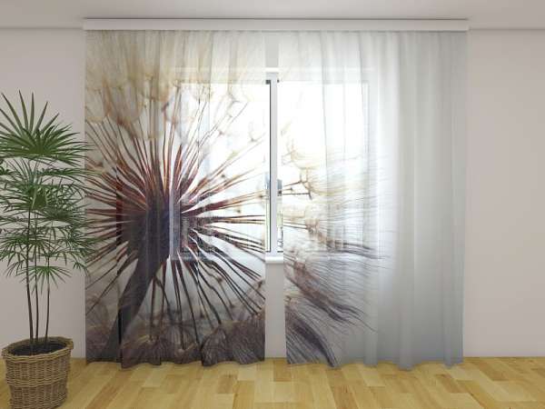 Chiffon curtain: AMAZING DANDELION