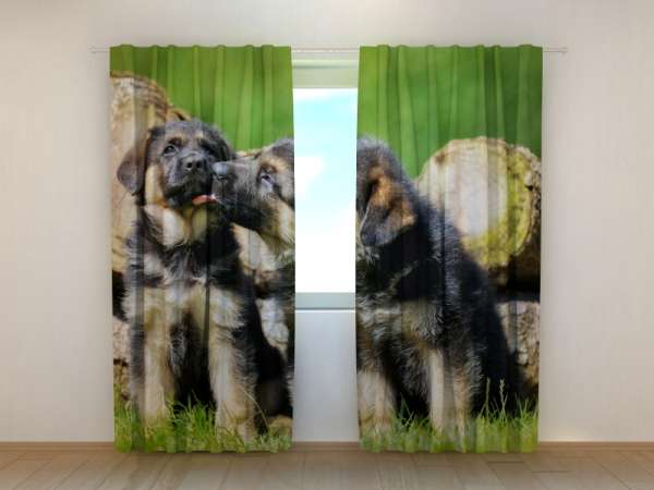 Photo curtain: CUTE GERMAN SHEPHERD PUPPIES