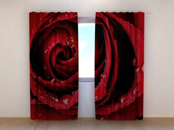 Photo curtain: RED ROSE