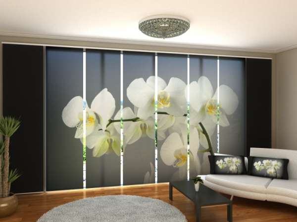 Sliding panel curtain (1-8 pts.): WILD ORCHID