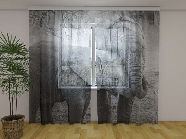 Chiffon curtain: YOUNG ELEPHANTS IN BLACK AND WHITE