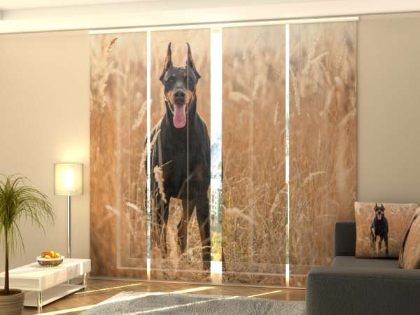 Sliding panel curtain (1-4 pts.): DOBERMAN PINSCHER IN THE GOLDEN GRASS