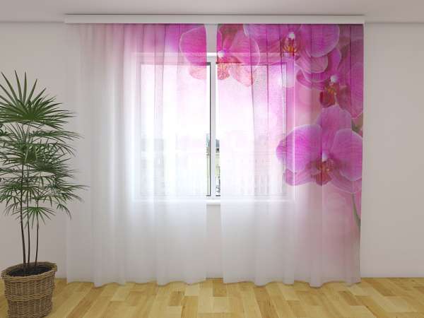 Chiffon curtain: TENDER ORCHIDS