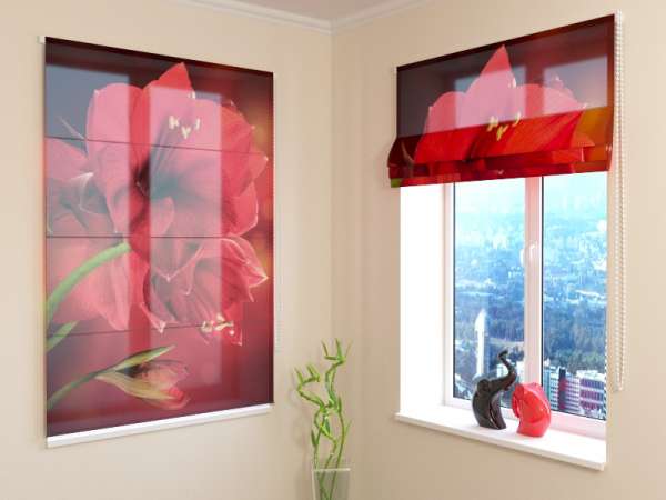 Roman blind: RED HIBISCUS