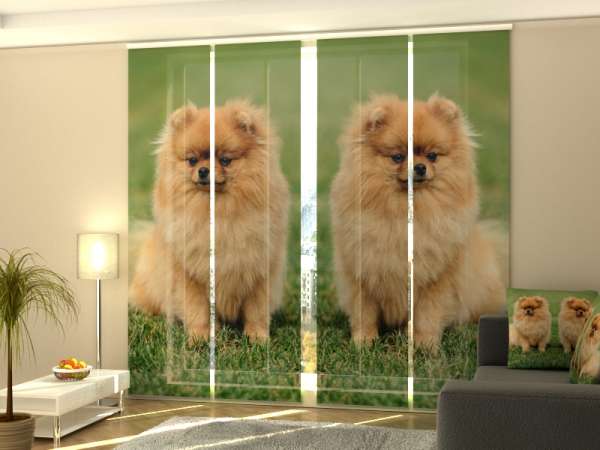 Sliding panel curtain (1-4 pts.): BROWN POMERANIAN DOGS