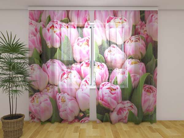 Chiffon curtain: MARVELOUS TULIPS