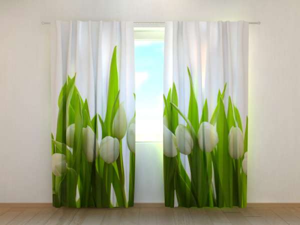 Photo curtain: WHITE TULIPS