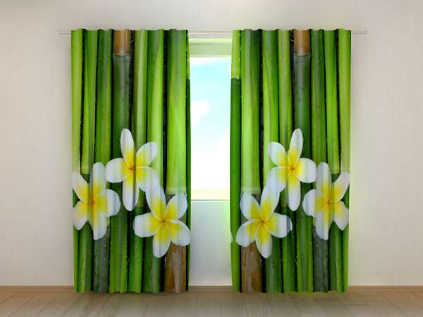 Photo curtain: BAMBOO AND PLUMERIA 2