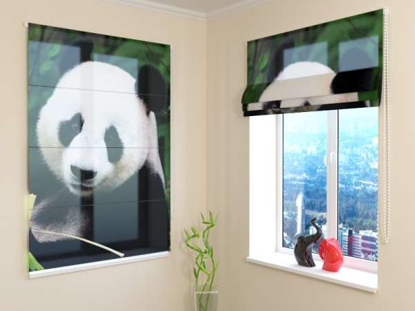 Roman blind: PANDA