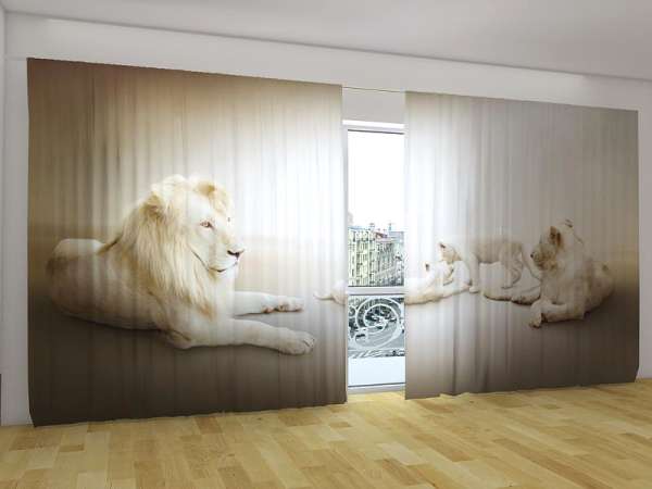 Panoramic curtain: WHITE LIONS