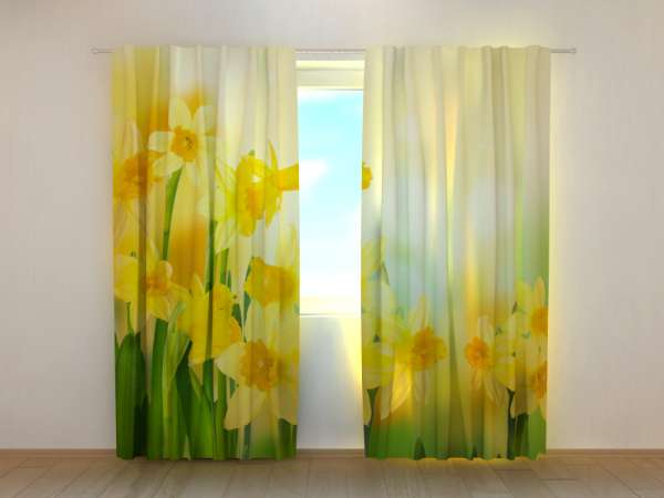 Photo curtain: YELLOW DAFFODILS