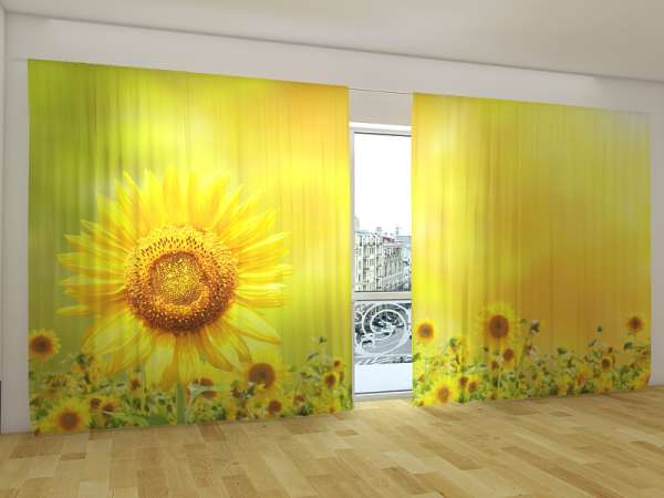 Panoramic curtain: BIG SUNFLOWER