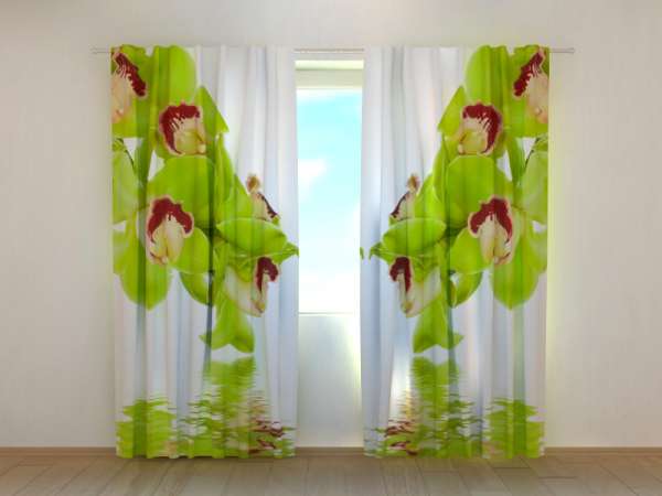 Photo curtain: LIME-COLOURED ORCHID