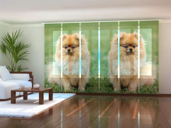 Sliding panel curtain (1-6 pts.): BROWN POMERANIAN DOGS