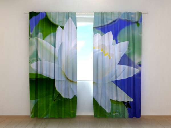 Photo curtain: WHITE LOTUS