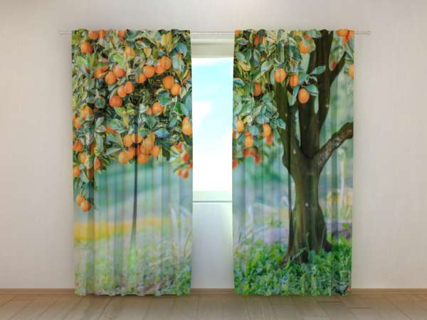 Photo curtain: MANDARIN TREE