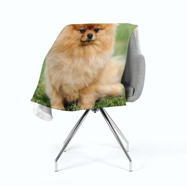 Fleece blanket: BROWN POMERIAN DOG