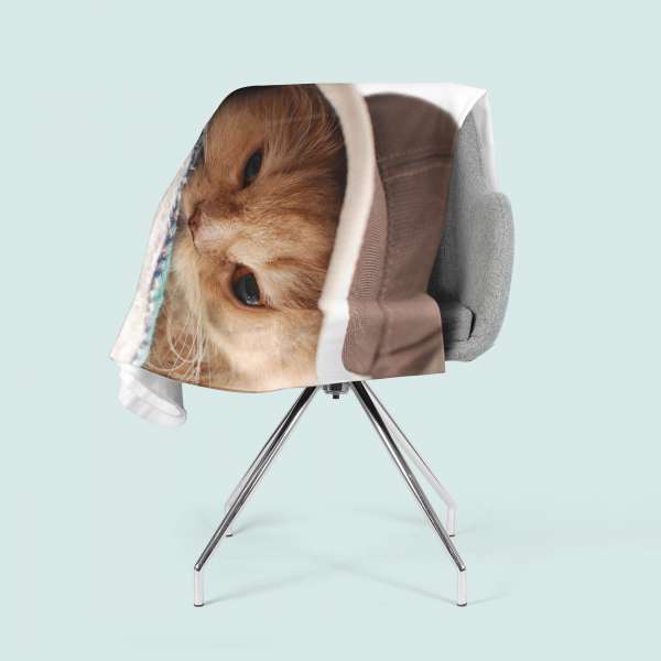 Fleece blanket: CAT WITH HAT