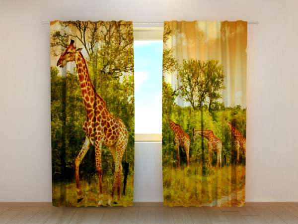 Photo curtain: GIRAFFES