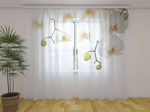 Chiffon curtain: BIG ORCHIDS