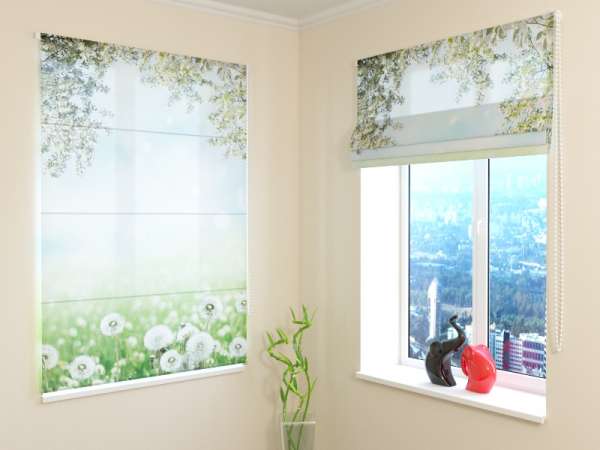 Roman blind: WHITE DANDELIONS