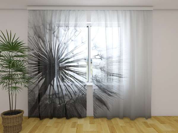 Chiffon curtain: AMAZING DANDELION BLACK AND WHITE