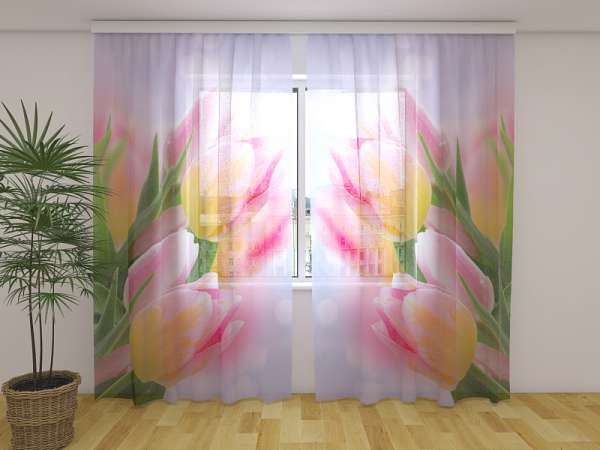 Chiffon curtain: FIRST TULIPS