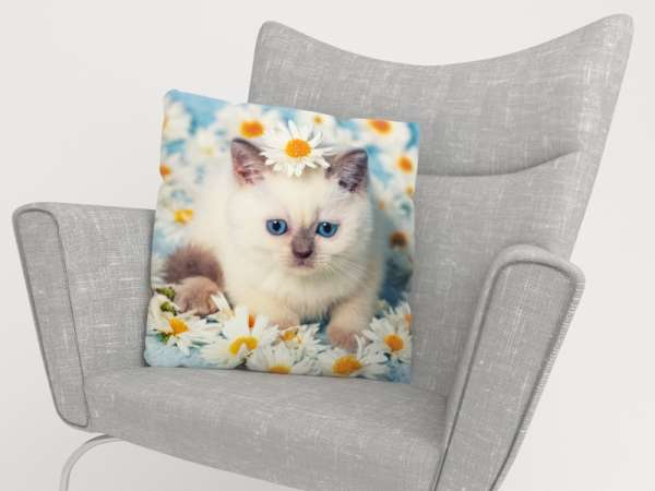 Pillowcase: SWEET KITTEN