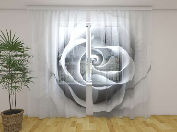 Chiffon curtain: GREY ROSE