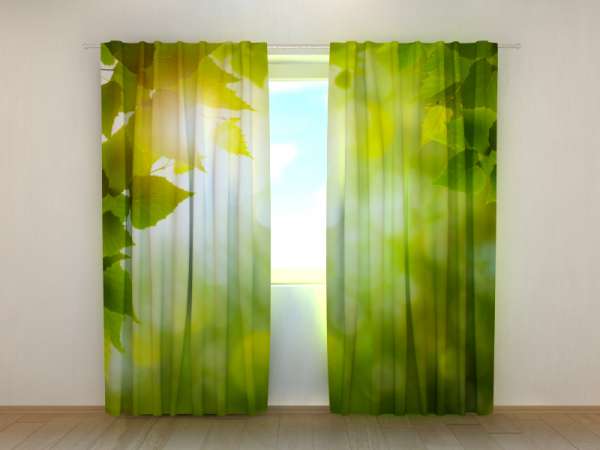 Photo curtain: SUMMER SUN