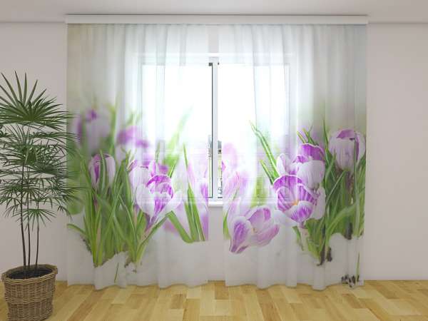 Chiffon curtain: CROCUSES ON SNOW