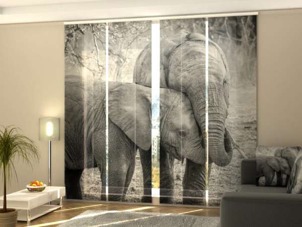 Sliding panel curtain (1-4 pts.): YOUNG ELEPHANTS IN BLACK AND WHITE