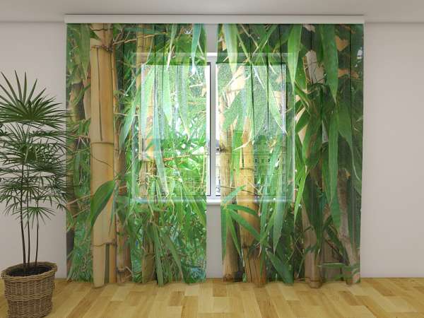 Chiffon curtain: BAMBOO FOREST 3