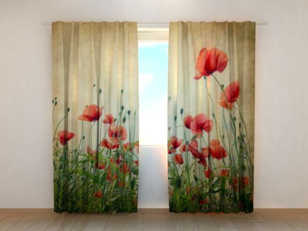 Photo curtain: RETRO POPPIES