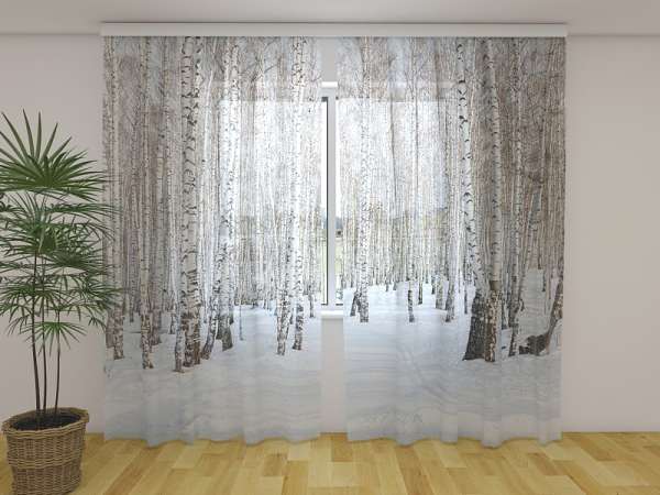 Chiffon curtain: WINTER BIRCH FOREST