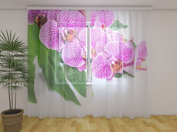 Chiffon curtain: VIOLET ORCHID ON A GREEN LEAF