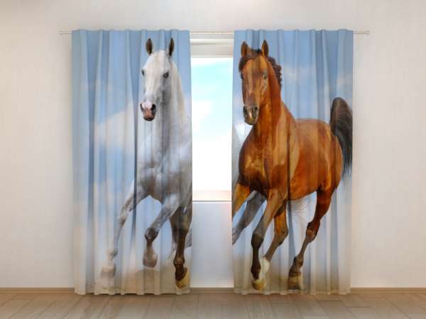 Photo curtain: HORSES