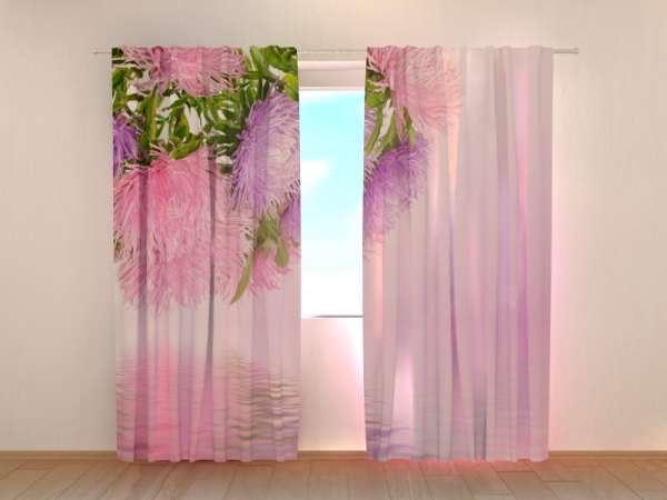 Photo curtain: ASTERS