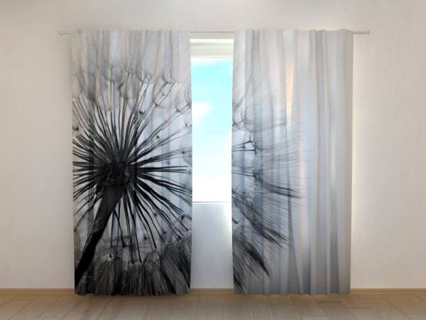 Photo curtain: AMAZING DANDELION BLACK AND WHITE