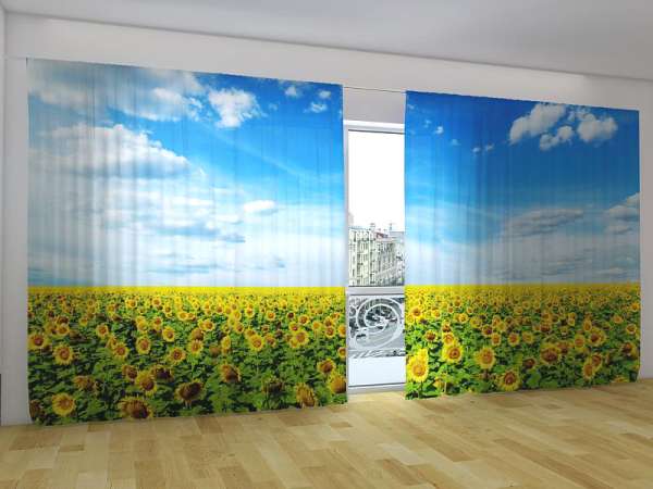 Panoramic curtain: FIELD OF SUNFLOWERS